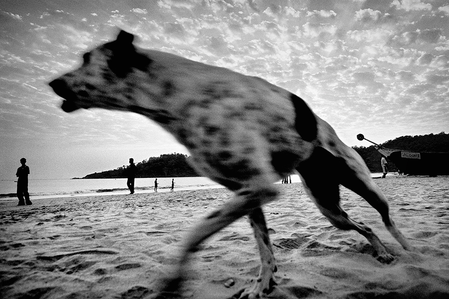 vancso_zoltan_india_2007