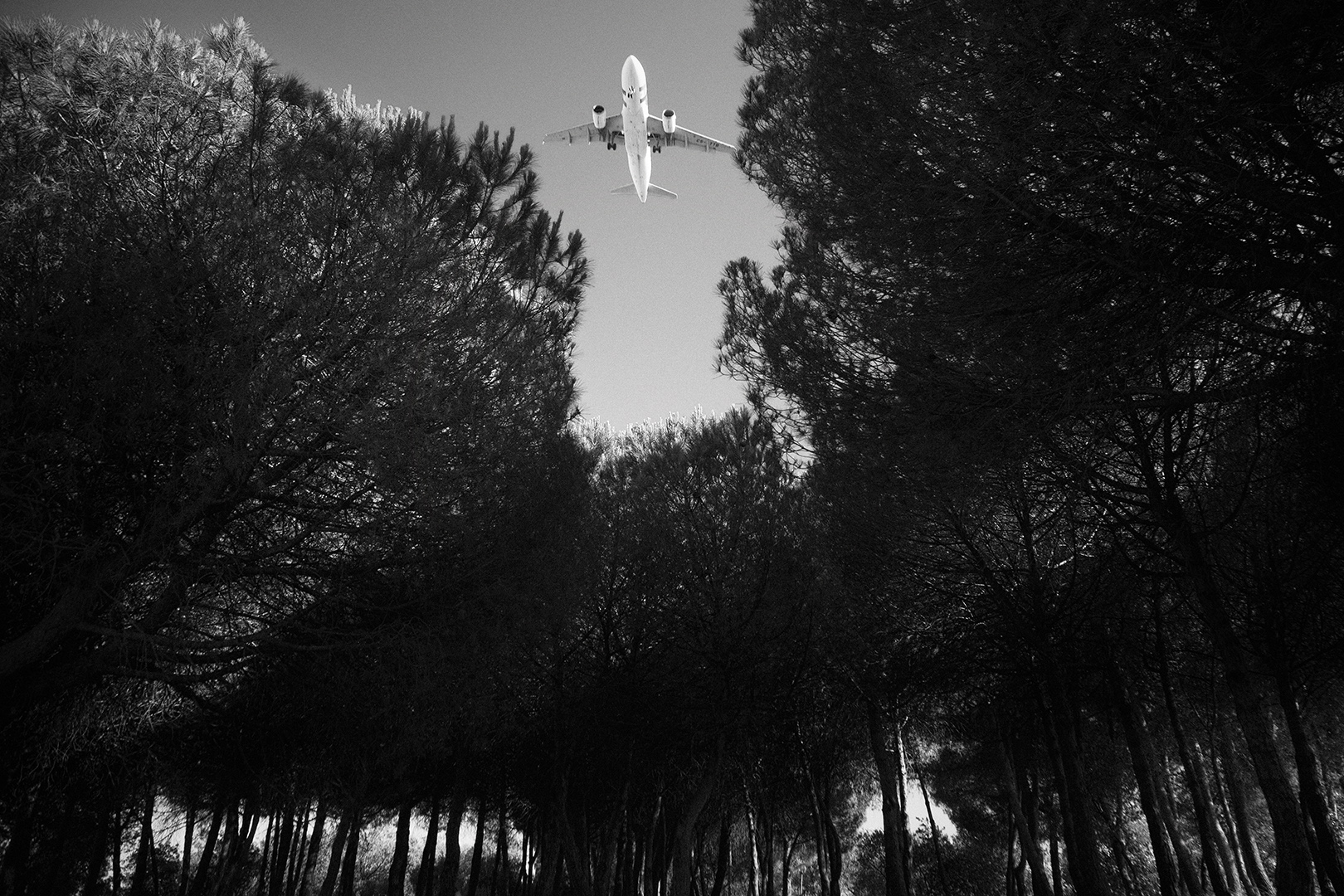 Ennyi véletlen márpedig van!