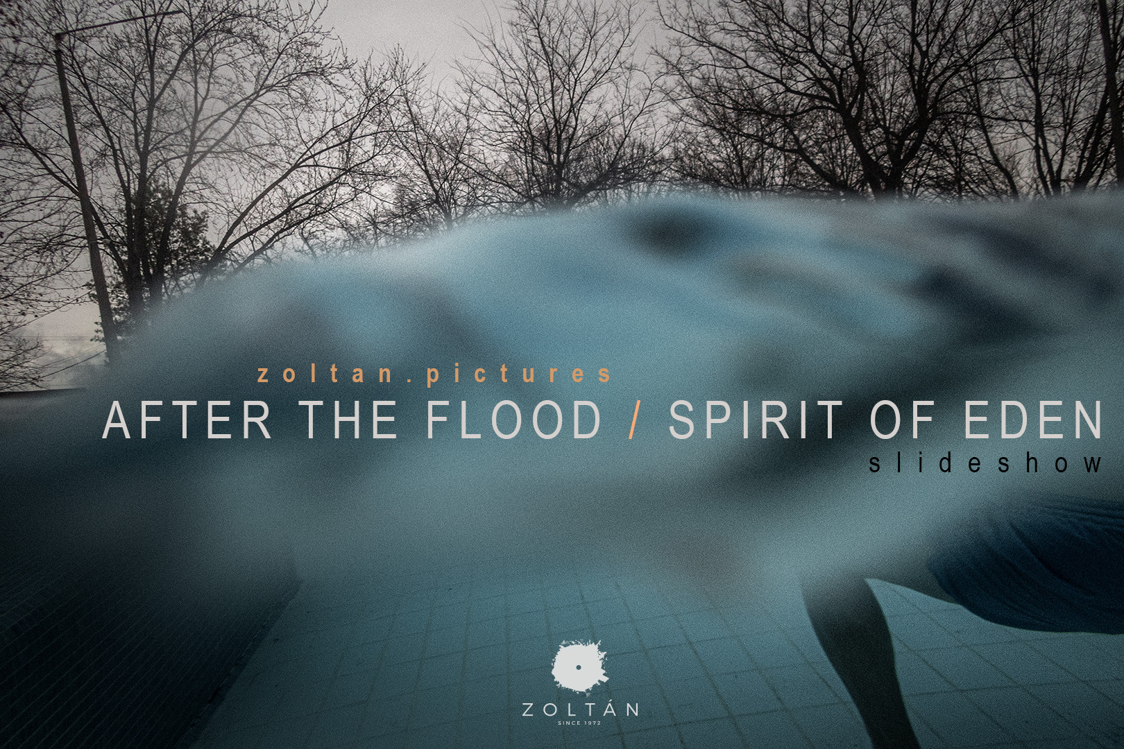 Vancsó Zoltán: After The Flood / Spirit Of Eden