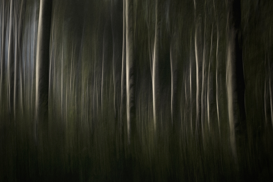 _MG_0425_ok2_cut_resize_900px